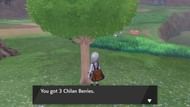 Image via Game Freak